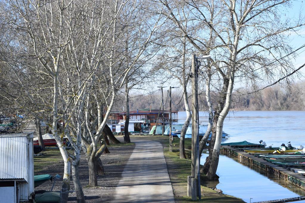 Ladik Vendeghaz Hotel Tiszafured Bagian luar foto